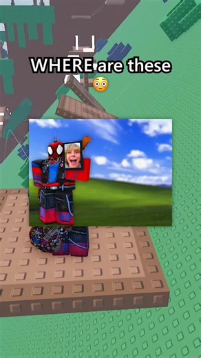 Robo Guy on Instagram: "Where Are These Cat Memes Now? 😭💔#robloxrant #roblox"