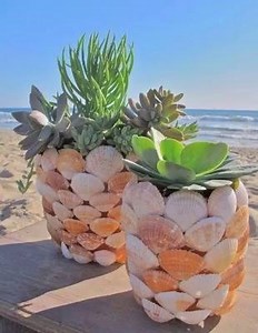 171K views · 5.3K reactions | SEASHELL PLANTER...adorable!!...