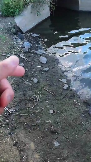 @1rod1reelfish1ng breaking down his complex strategy of fishing a tunnel! #fishing #bassfishing #googansquad