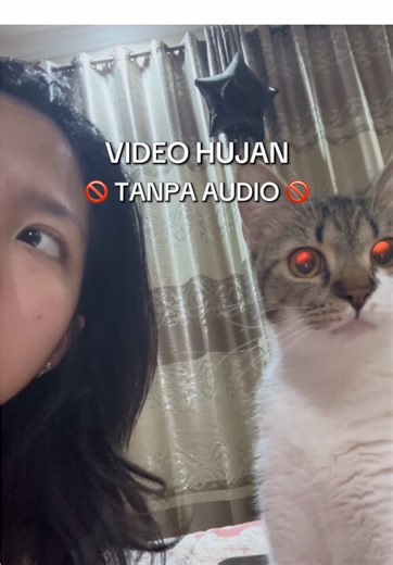 Kucing Menyerap Energi Negatif di Rumah