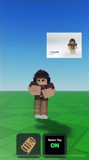 Roblox name:TibeauB9
