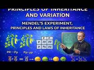 PRINCIPLES OF INHERITANCE AND VARIATION : MENDEL’S EXPERIMENT, PRINCIPLES AND LAWS OF INHERITANCE