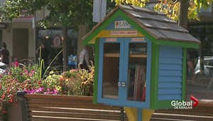 Salmon Arm book exchanges damaged by vandals