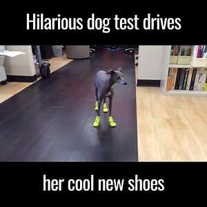 4K views · 69 reactions | Feet calibration unsuccessful ⚠️  via: UNILAD | The Getaway Guide | Facebook
