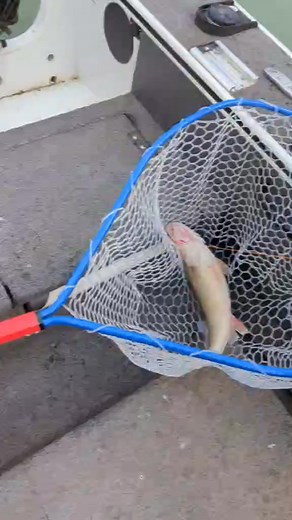 Spring Flashback! ⚡ Great memories made on the water 💯 THINK SPRING | Fishing Addiction Gear