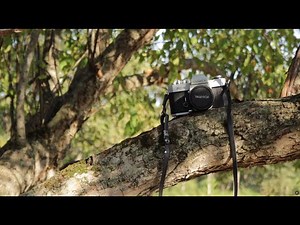 Found a Vintage Film Camera? Here’s How to See if It Still Works