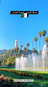 307K views · 10K reactions | Alger, la blanche, perchée...