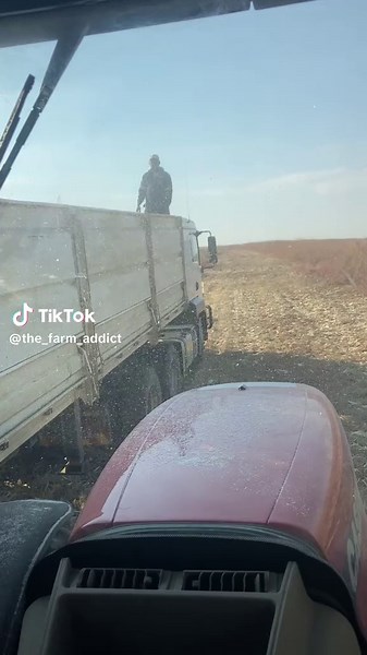 Another day another load. #harvest #johndeere #corn #farm #caseih #graincart #graincartdrivers