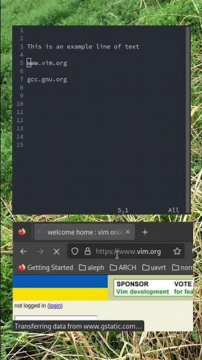 Vim Copy to system clipboard