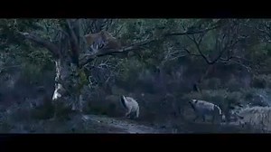 251K views · 9K reactions | Nilkanth varni Best seen episode har har Mahadev # | Arun Lohia Gujjar | Facebook