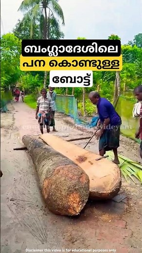 ഒറ്റപ്പന ബോട്ട്