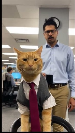 Toby Arrives Late - Boss Scolds Him, Then He Plays TETRIS at Work! 🐱💼🎮😹
