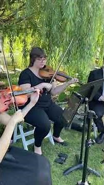 Better Together | Jack Johnson | String Trio Cover