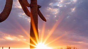 Benefitting Arizona - Arizona Indian Gaming Association