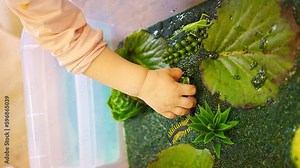 Little girl playing in handmade swamp of green-dyed chia seeds with insect, fish and plant models. Sensory development and experiences, themed activities with children