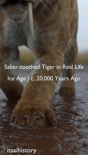 🐾 Ice Age (Late Pleistocene) | c. 20,000 years ago — Saber-toothed cat (Smilodon populator)