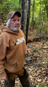 Still trapping bear in Maine and using the buck/bear cage to help lure them in | Fur Life TV