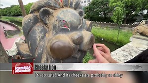 Zhubei lion statue delights with shiny puffed cheeks On Hanlin Bridge along Xianzheng Ninth Road in Zhubei City stand 13 pairs of bronze lion statues. They’re designed along a range of cultural and historical styles, like Hakka, temple, and folk. But there’s also one that looks just adorable. Its shiny buffed cheeks have even caught the internet’s attention. | 民視英語新聞 Formosa News