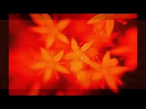 Hammer In The Sand - Steve Hackett - Defector