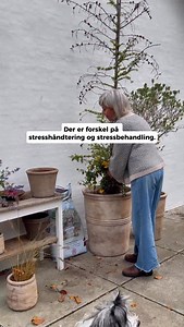 3.1K views · 29 reactions | Der er forskel på stresshåndtering og...