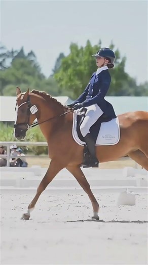 Dressage CCE Poney 🇫🇷➡️🇪🇺 | championnats de France As Poney Élite GP & championnats d'Europe 2025