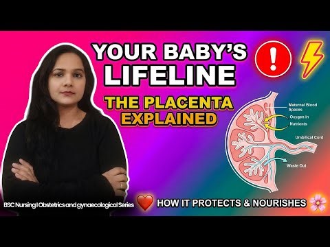 “Placenta Explained Simply | Structure, Functions|umbliclal cord|#placenta #baby #pregnancy