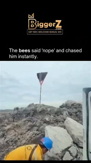 Business | News | Tech | Facts on Instagram: "“ 150% Welcome Bonus on @biggerz with code: WO #biggerz ” A mischievous moment turns into instant chaos when a man tosses a pebble at a cluster of black bees resting on a wooden post, only to unleash a furious swarm that chases him all the way back to his car. He barely makes it inside before slamming the window shut, while the bees angrily hover outside, making his panic-stricken sprint pure comedy. The perfect timing, dramatic reactions, and unexpe