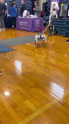 I like to move it move it #robot