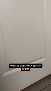 305K views · 7.8K reactions | How much Bully Max dog food did Mr. Manz order? @fezco.the.microbully | Bully Max | Facebook