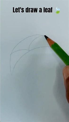 how to draw a leaf 🌿 #leafart #leaf#art #drawing #simpledrawing #easydrawing #easyart #funcoloring