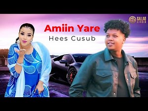 AAMIIN YARE 2025 - ADAA DHALAYA WIILKAYGA - HEES CUSUB