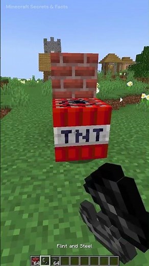 Minecraft Facts You Didn't Know! 🤯