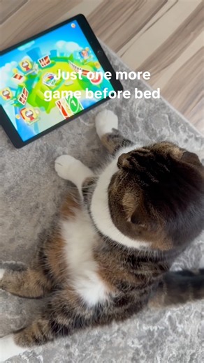 POV: Just One More Game Before Bed. 💔😭| UNO! Mobile. #unomobilemove1 #uno #unogame