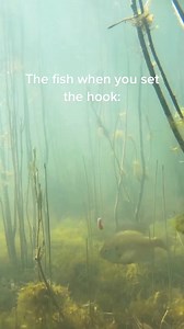 Swing for the fence 😆 | Tyler Barnes