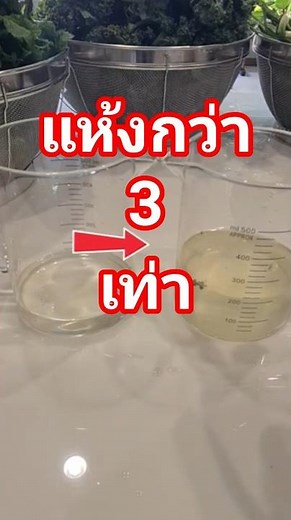 เครื่องสลัดน้ำออกจากผัก ตัวช่วยคนชอบกินผัก ประหยัดเวลาไปได้เยอะ #saladspinner