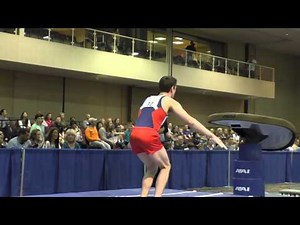 Alec Yoder - Vault - 2015 Winter Cup Prelims