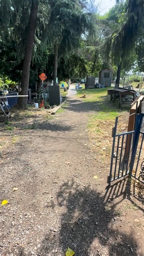 23K views · 1.6K reactions | A homeless village built by the homeless and managed by the homeless. It has rules, structure, and a sense of shared responsibility. Residents work together to maintain a functioning community. There’s a communal garden, a small farm, and even a few homes powered by solar panels. There’s no plumbing yet, but despite that, the camp runs better than many professionally managed sites. #Homeless | Truth on the streets | Facebook