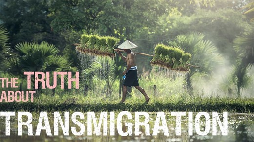 How Indonesia’s Transmigration Program Backfired
