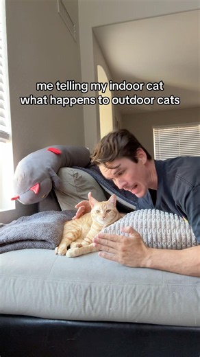 Warning my cat about the outside!
