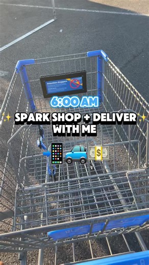 Beep Beep! Your Walmart Spark delivery has arrived. Would you have taken this order? #WalmartSpark #SparkDriver #GigTok #GigLife #DeliveryDriver