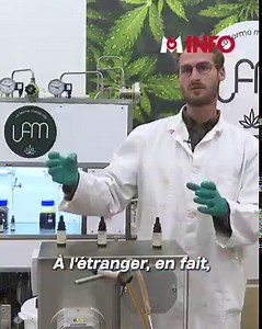 Le CBD est un marché légal en pleine expansion. En Gironde, une exploitation extrait les cannabinoïdes des fleurs de chanvres pour réaliser un CBD, présenté comme Made in France et responsable. 🎥 Christophe Huet et Barbara Durand | M6 Info
