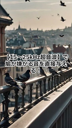 【鳩撃退音】3分で退散！【ベランダ・屋根】のフン害を超音波で解決