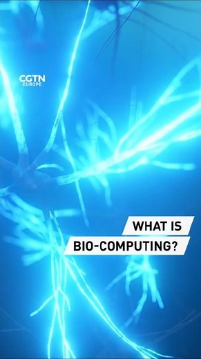What is bio-computing?
