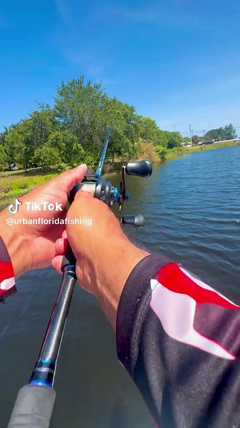 Swamp Toad Action: Quick Catch Fishing Tips