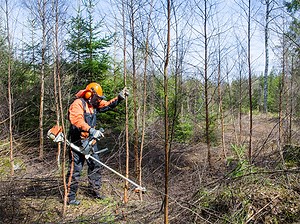 Brush Cutter Operator (BC)