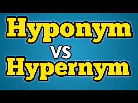 What is hyponym? What is hypernym? What is the difference between hyponym and hypernym?