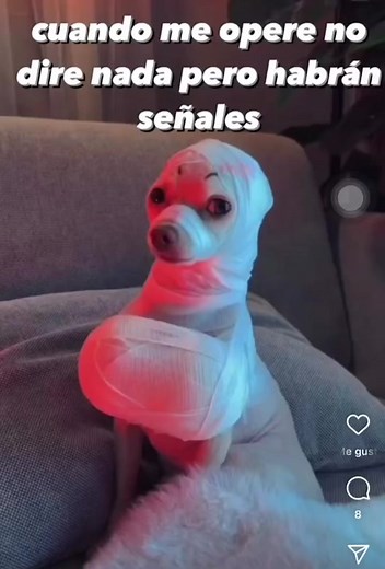 Unique Cup Cutting Technique Revealed