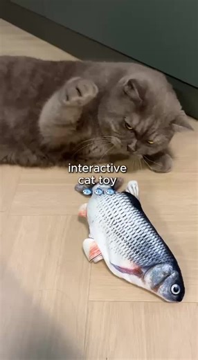 Discover Your Cat’s New Best Friend: A Fish Toy