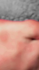 160K views · 20K reactions | cheeto angry bird | Chris Hall | Facebook