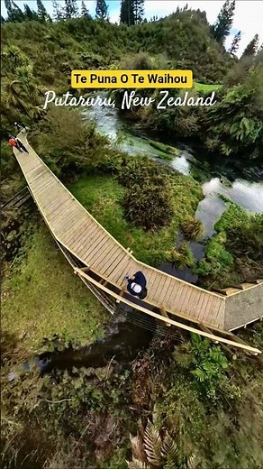 The Enchanting Blue Springs of New Zealand